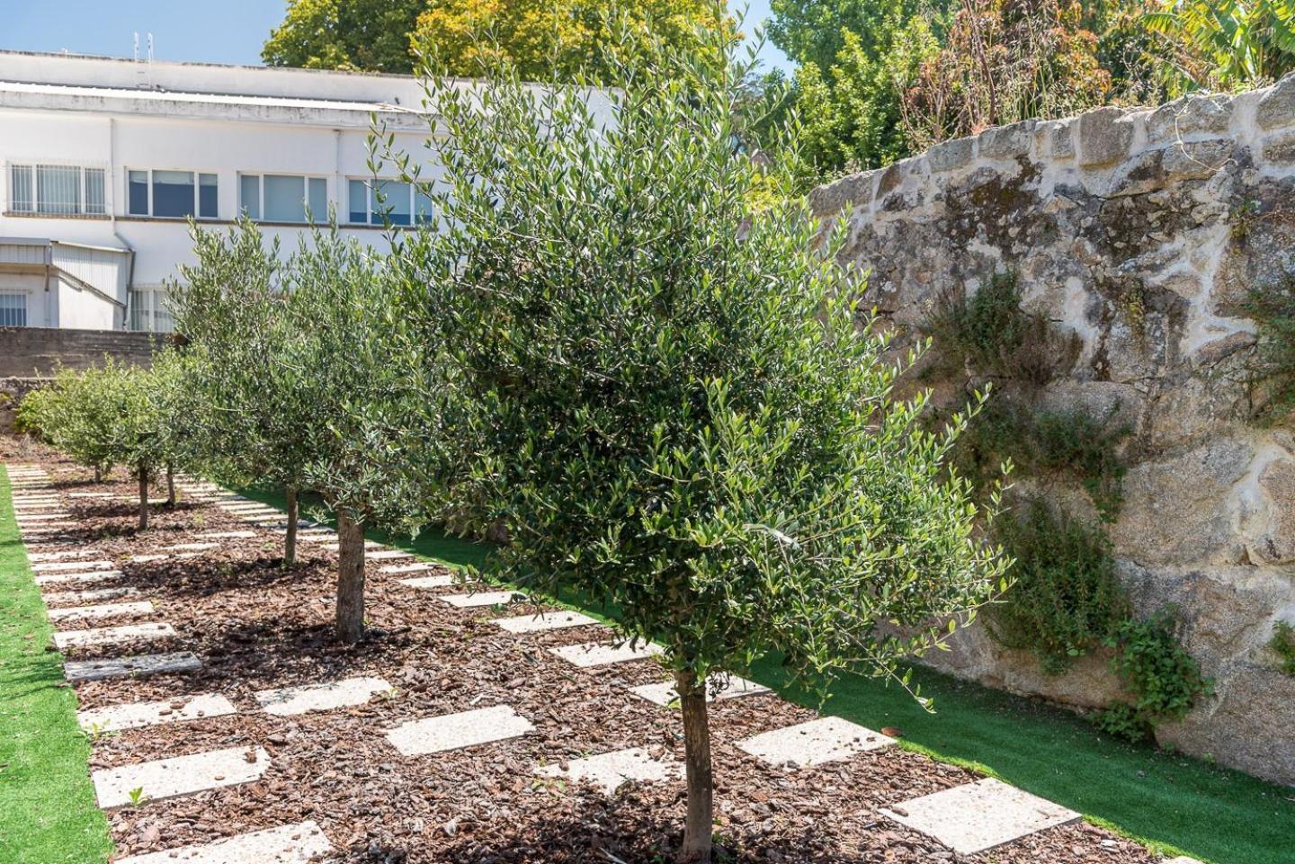 Guestready - Jardim Das Oliveiras Guesthouse - 2 ポルト エクステリア 写真